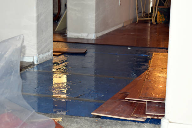 Professional Flood Damage Repair technician working in Emerson, NJ